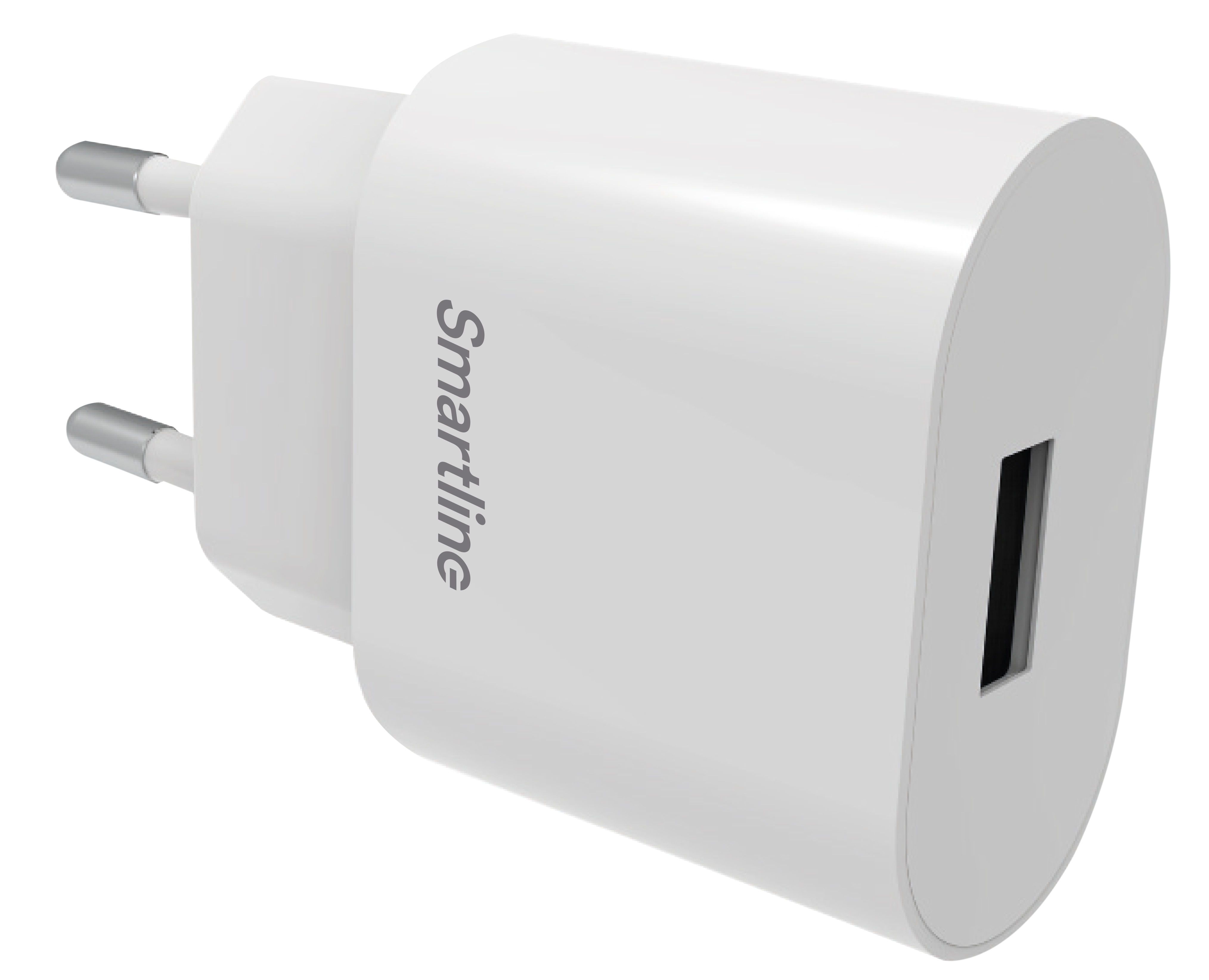 USB Wall Charger 2.4A hvit