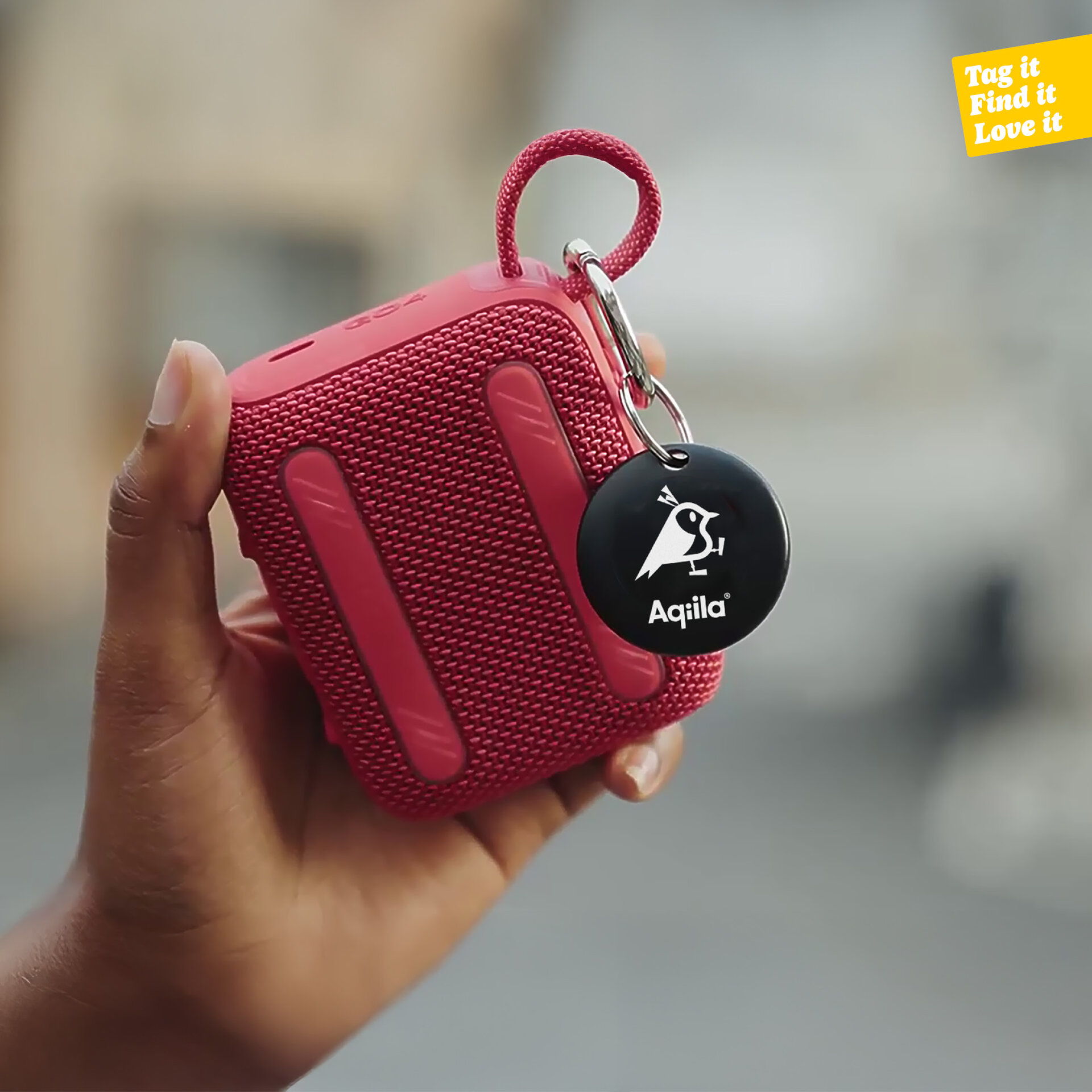 Tagbird Nøkkelring (4-pack) 