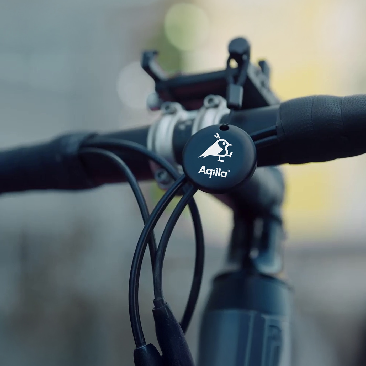 Tagbird Nøkkelring (4-pack) 