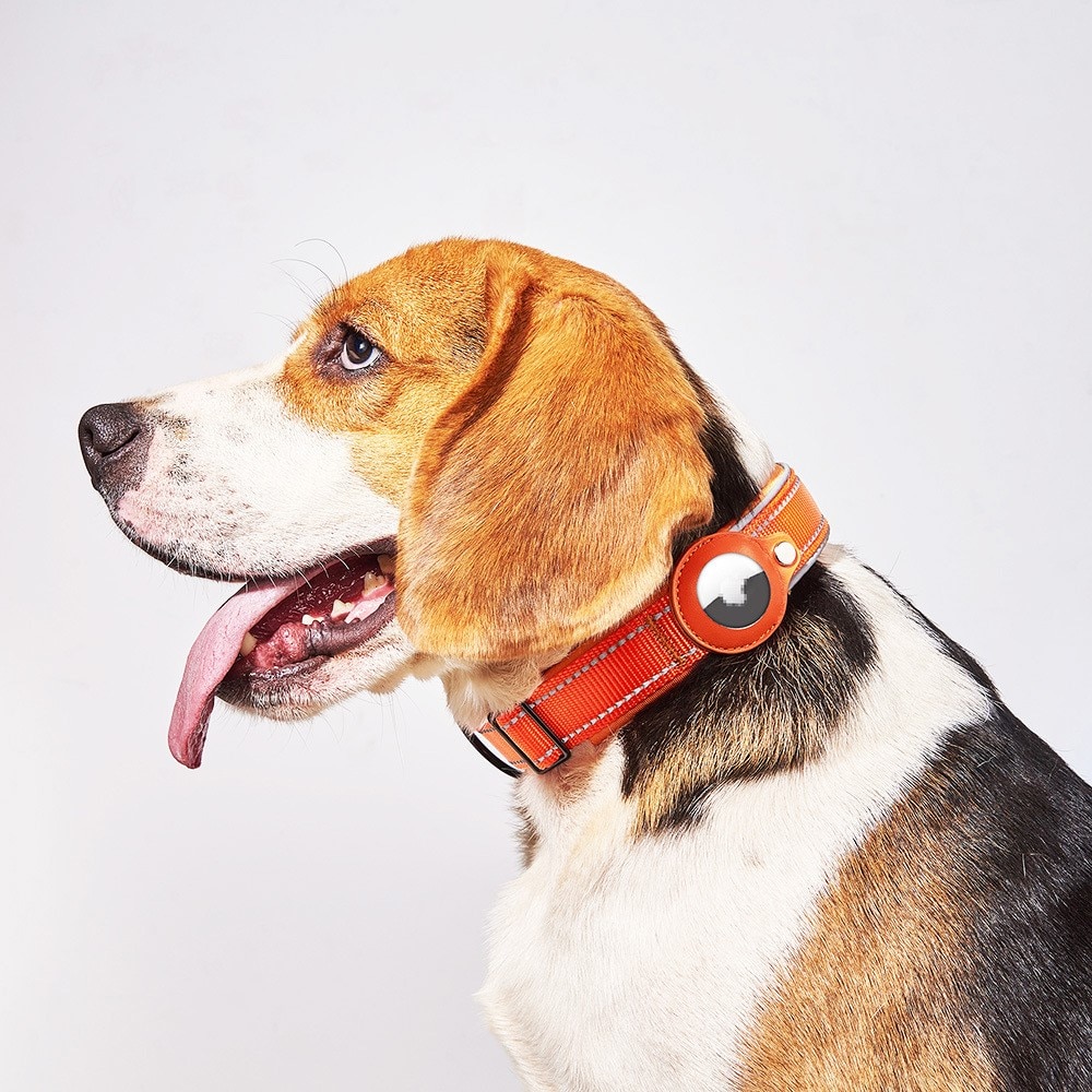 Apple AirTag Hundehalsbånd med Refleks S svart