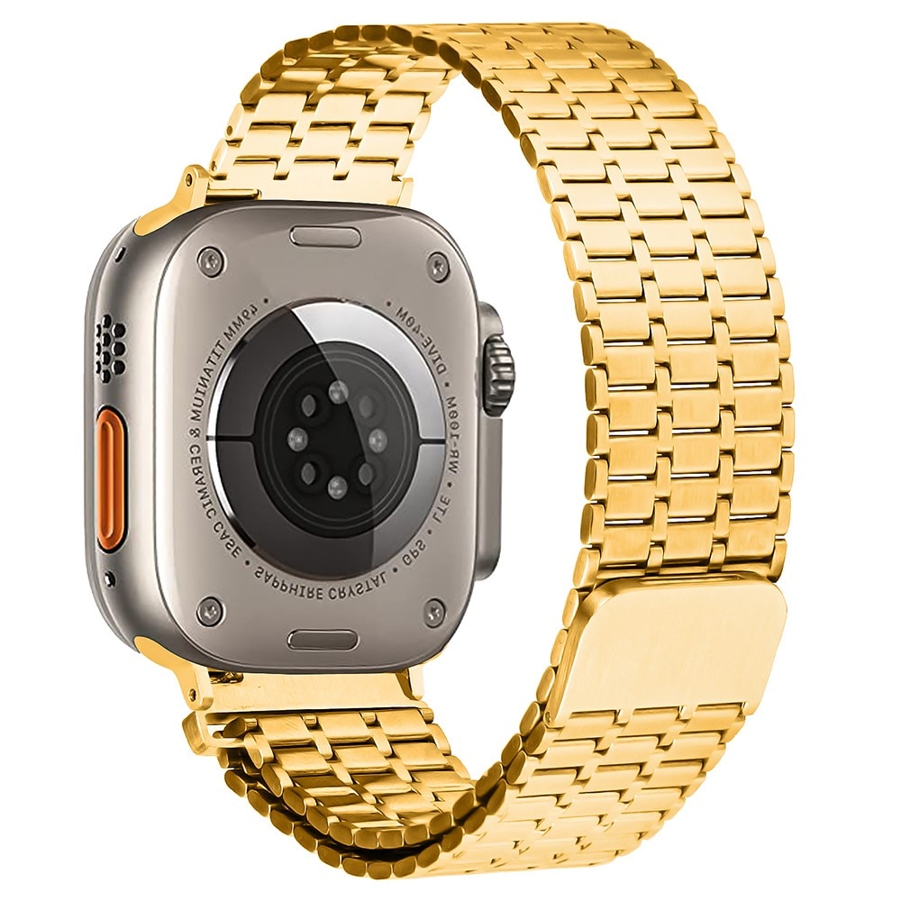 Business Magnetic Reim Apple Watch SE 40mm gull