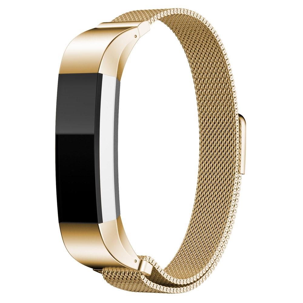 Fitbit Alta/Alta HR Reim Milanese Loop gull